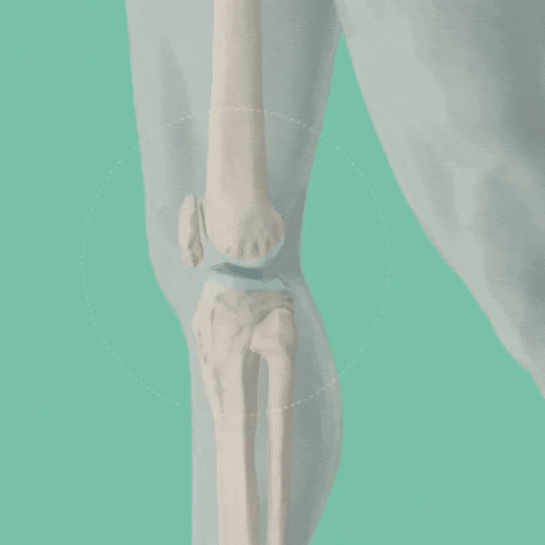 cartilage-benefit.gif